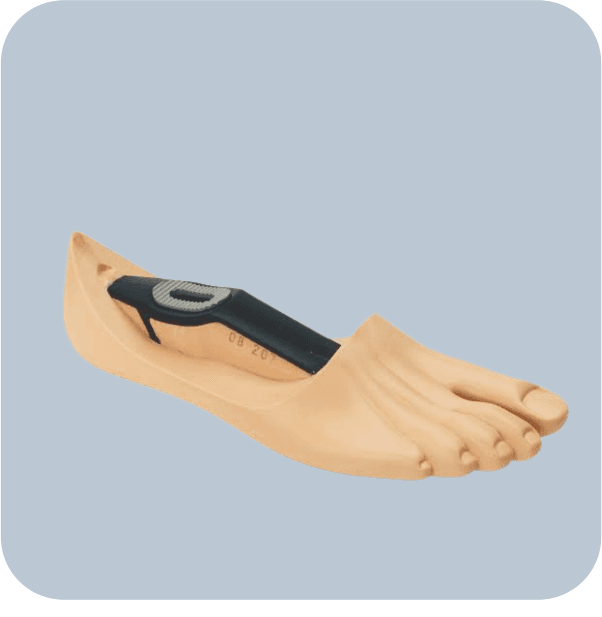 Multiflex Foot