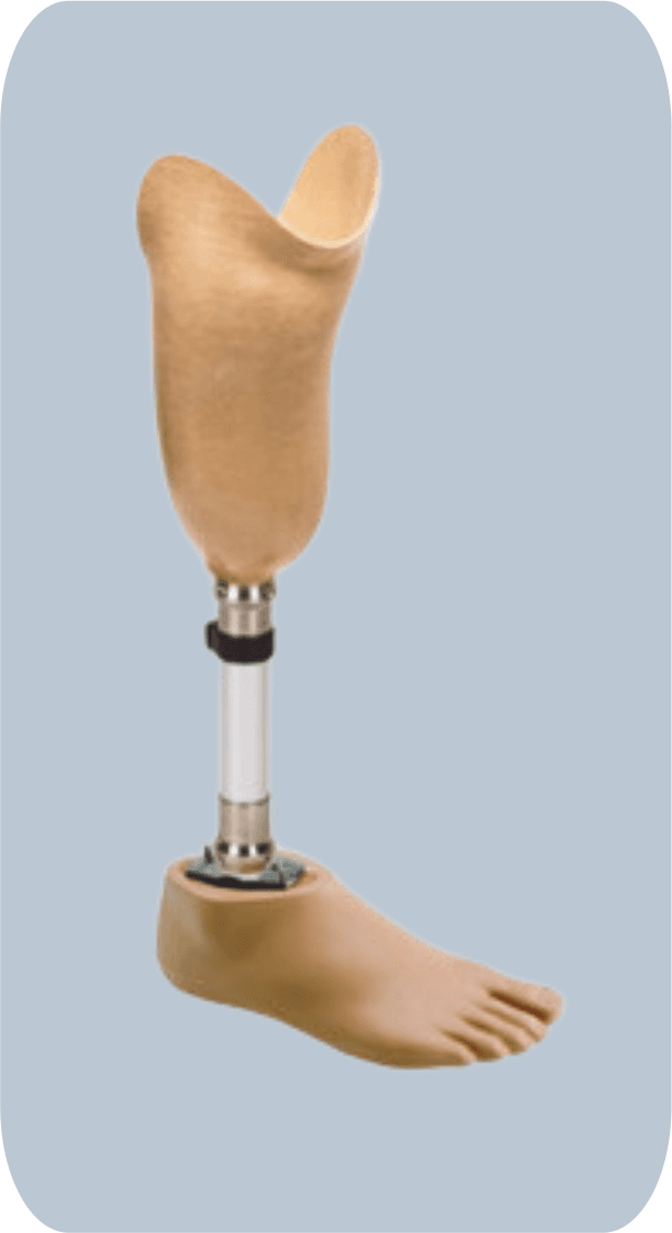 Transtibial Prosthesis